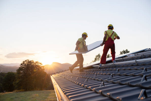 Best Roof Maintenance and Cleaning  in South Amherst, OH