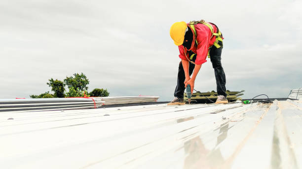 Best Sheet Metal Roofing  in South Amherst, OH