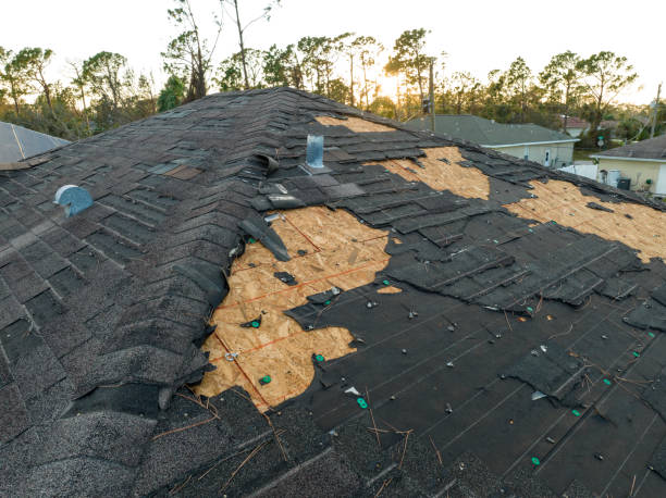 Best Steel Roofing  in South Amherst, OH